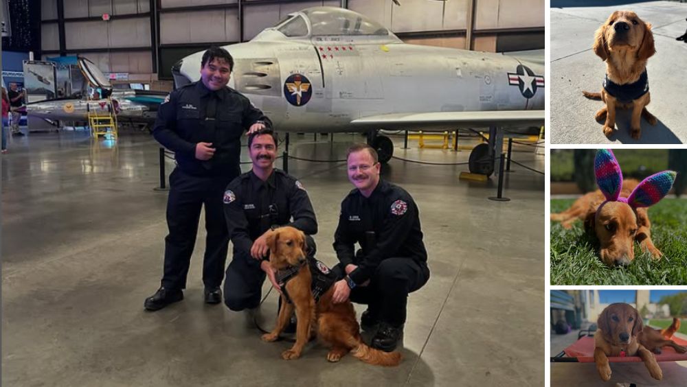 Eros poses with School of Public Safety cadets at the March Air Field Museum
