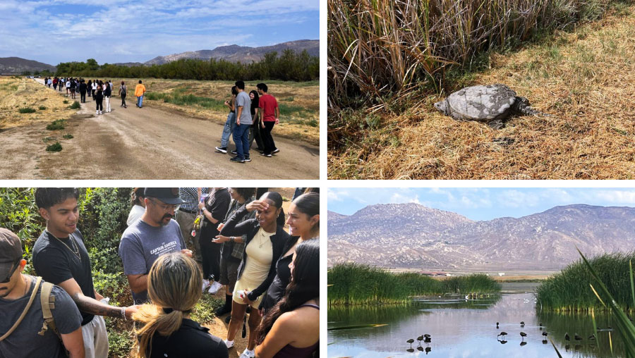 A collage of photos showing students enjoying the San Jacinto Wildlife Area, a tortoise, and a wetland with birds